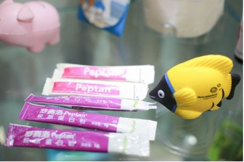 百货会 探索日用消费品与家居生活的创新舞台